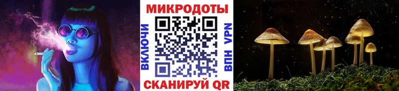 Псилоцибиновые грибы мухоморы блэк спрут зеркало это телеграм Солнечногорск